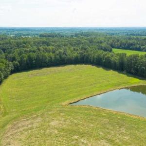 Photo of 10.01 Acre Homesite with Pond for Sale in Alamance County NC!