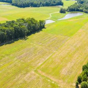 Photo of SOLD!!  10.03 Acre Homesite with Pond for Sale in Alamance County NC!