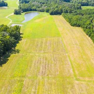 Photo of SOLD!!  10.03 Acre Homesite with Pond for Sale in Alamance County NC!