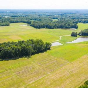 Photo of SOLD!!  10.03 Acre Homesite with Pond for Sale in Alamance County NC!
