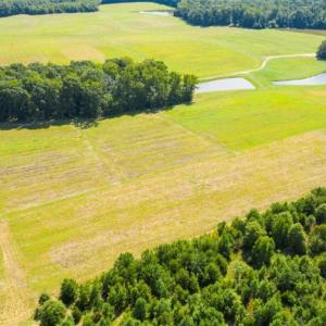 Photo of SOLD!!  10.03 Acre Homesite with Pond for Sale in Alamance County NC!