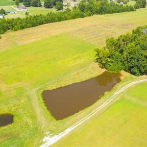 Photo of SOLD!!  10.03 Acre Homesite with Pond for Sale in Alamance County NC!