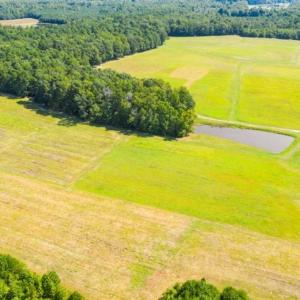 Photo of SOLD!!  10.03 Acre Homesite with Pond for Sale in Alamance County NC!