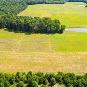 Photo of SOLD!!  10.03 Acre Homesite with Pond for Sale in Alamance County NC!