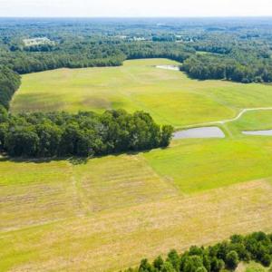 Photo of SOLD!!  10.03 Acre Homesite with Pond for Sale in Alamance County NC!