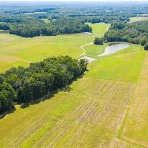 Photo of SOLD!!  10.03 Acre Homesite with Pond for Sale in Alamance County NC!