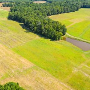 Photo of SOLD!!  10.03 Acre Homesite with Pond for Sale in Alamance County NC!