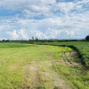 Photo of REDUCED! 177 Acres of Farm and Hunting Land For Sale in Nash County NC!