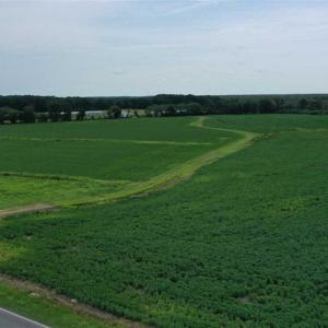 Photo of REDUCED! 177 Acres of Farm and Hunting Land For Sale in Nash County NC!