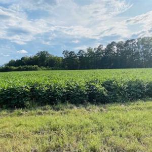 Photo of REDUCED! 177 Acres of Farm and Hunting Land For Sale in Nash County NC!
