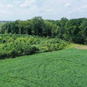 Photo of REDUCED! 177 Acres of Farm and Hunting Land For Sale in Nash County NC!