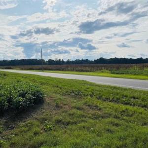 Photo of REDUCED! 177 Acres of Farm and Hunting Land For Sale in Nash County NC!
