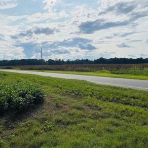 Photo of REDUCED! 177 Acres of Farm and Hunting Land For Sale in Nash County NC!