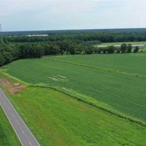 Photo of REDUCED! 177 Acres of Farm and Hunting Land For Sale in Nash County NC!