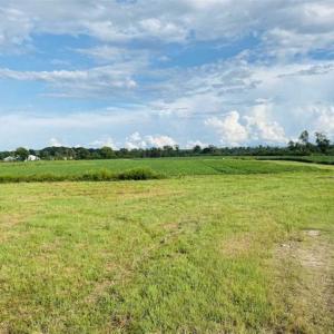 Photo of REDUCED! 177 Acres of Farm and Hunting Land For Sale in Nash County NC!