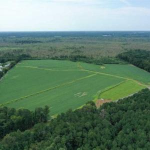 Photo of REDUCED! 177 Acres of Farm and Hunting Land For Sale in Nash County NC!