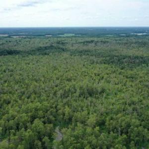 Photo of REDUCED! 177 Acres of Farm and Hunting Land For Sale in Nash County NC!