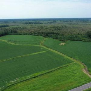 Photo of REDUCED! 177 Acres of Farm and Hunting Land For Sale in Nash County NC!