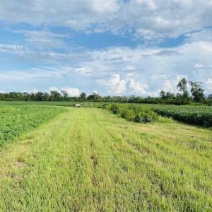 Photo of REDUCED! 177 Acres of Farm and Hunting Land For Sale in Nash County NC!