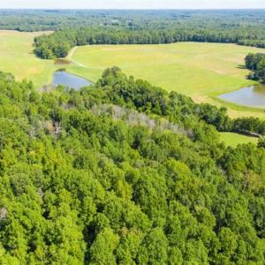 Photo of SOLD!!  10.01 Acre Homesite with Private Pond for Sale in Alamance County NC!