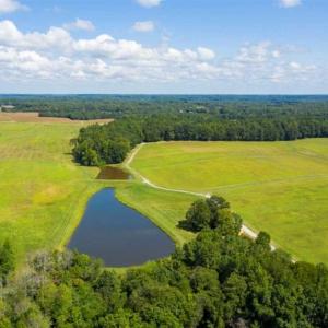 Photo of SOLD!!  10.01 Acre Homesite with Private Pond for Sale in Alamance County NC!