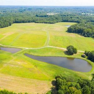 Photo of SOLD!!  10.01 Acre Homesite with Private Pond for Sale in Alamance County NC!