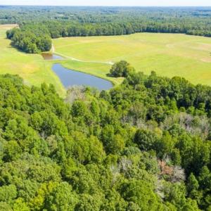 Photo of SOLD!!  10.01 Acre Homesite with Private Pond for Sale in Alamance County NC!