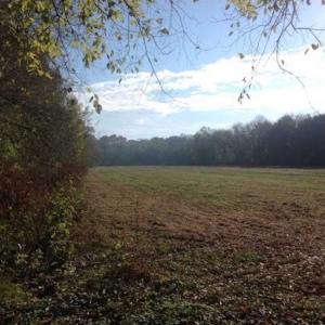 Photo of SOLD!!  36 Acres of Hunting Land for Sale in Halifax County VA!