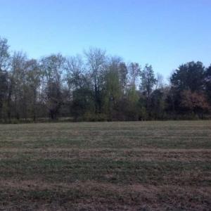 Photo of SOLD!!  36 Acres of Hunting Land for Sale in Halifax County VA!