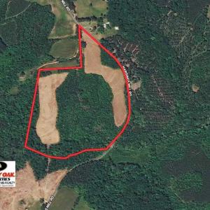 Photo of SOLD!!  36 Acres of Hunting Land for Sale in Halifax County VA!