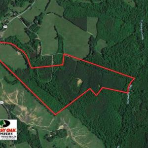 Photo of 100 Acres of Hunting Land For Sale in Halifax County VA!