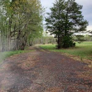 Photo of 100 Acres of Hunting Land For Sale in Halifax County VA!