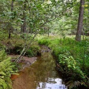Photo of SOLD!!  7.5 Acres of Residential and Hunting Land For Sale in Amherst County VA!