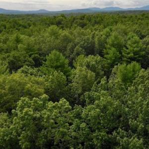 Photo of SOLD!!  7.5 Acres of Residential and Hunting Land For Sale in Amherst County VA!
