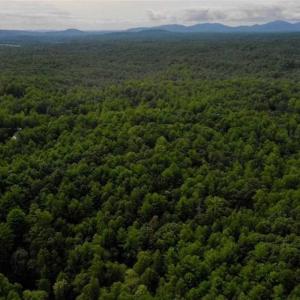Photo of SOLD!!  7.5 Acres of Residential and Hunting Land For Sale in Amherst County VA!