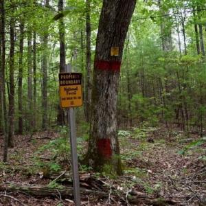 Photo of SOLD!!  7.5 Acres of Residential and Hunting Land For Sale in Amherst County VA!