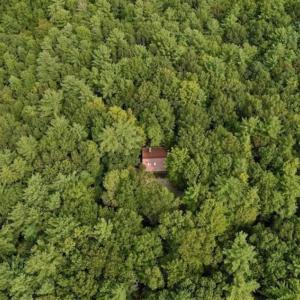 Photo of SOLD!!  7.5 Acres of Residential and Hunting Land For Sale in Amherst County VA!