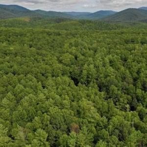 Photo of SOLD!!  7.5 Acres of Residential and Hunting Land For Sale in Amherst County VA!