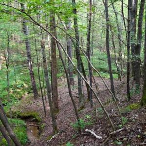 Photo of SOLD!!  7.5 Acres of Residential and Hunting Land For Sale in Amherst County VA!