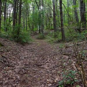 Photo of SOLD!!  7.5 Acres of Residential and Hunting Land For Sale in Amherst County VA!