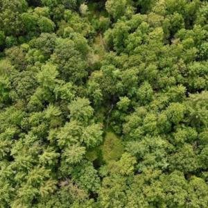 Photo of SOLD!!  7.5 Acres of Residential and Hunting Land For Sale in Amherst County VA!
