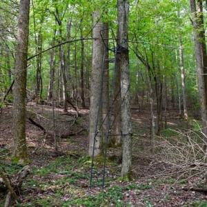 Photo of SOLD!!  7.5 Acres of Residential and Hunting Land For Sale in Amherst County VA!
