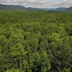Photo of SOLD!!  7.5 Acres of Residential and Hunting Land For Sale in Amherst County VA!