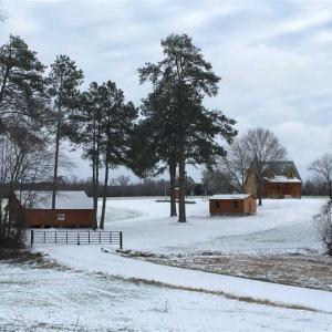 Photo of SOLD!! 85 Acres of Farm and Timber Land with Cabin and Pond For Sale in Edgecombe County NC!