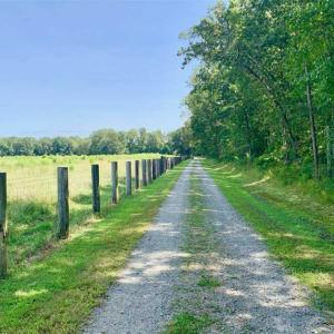 Photo of SOLD!! 85 Acres of Farm and Timber Land with Cabin and Pond For Sale in Edgecombe County NC!