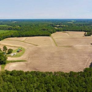 Photo of SOLD!! 85 Acres of Farm and Timber Land with Cabin and Pond For Sale in Edgecombe County NC!