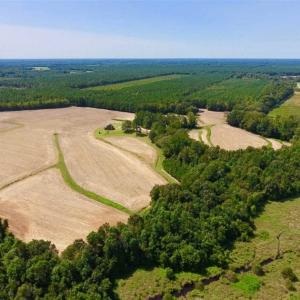 Photo of SOLD!! 85 Acres of Farm and Timber Land with Cabin and Pond For Sale in Edgecombe County NC!