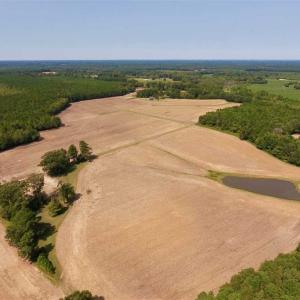 Photo of SOLD!! 85 Acres of Farm and Timber Land with Cabin and Pond For Sale in Edgecombe County NC!