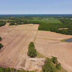Photo of SOLD!! 85 Acres of Farm and Timber Land with Cabin and Pond For Sale in Edgecombe County NC!