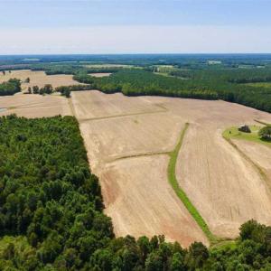 Photo of SOLD!! 85 Acres of Farm and Timber Land with Cabin and Pond For Sale in Edgecombe County NC!